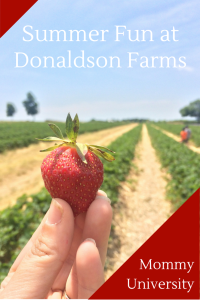 Summer Fun at Donaldson Farms