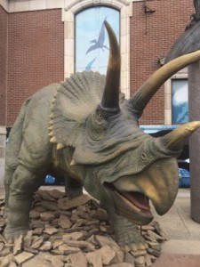 Dinosaurs Unearthed Triceratops