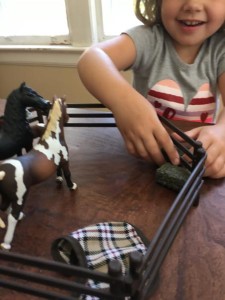 Schleich Horse Club