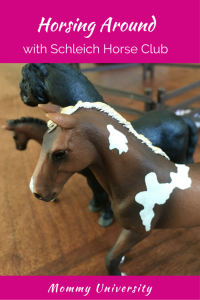 Schleich Horse Club