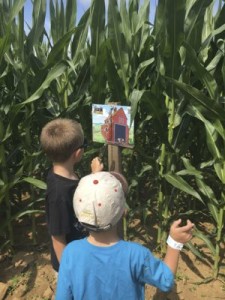 Finding Clues in Corn Maze