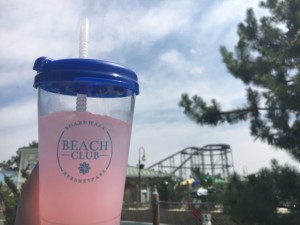 Hersheypark Cabana Refillable Cup