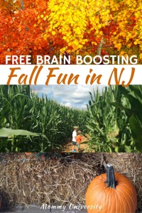 Free Brain Boosting Fall Fun in NJ