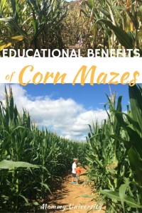 Educational Benefits of Corn Mazes