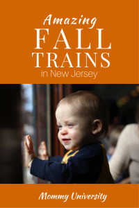 Amazing Fall Trains