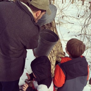 Maple Sugaring in Chatham