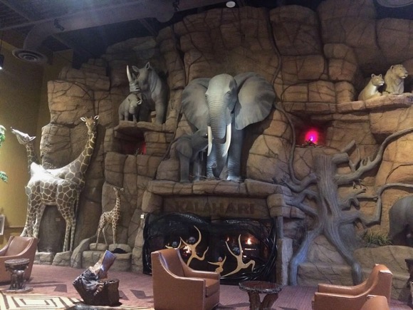 Kalahari Fireplace