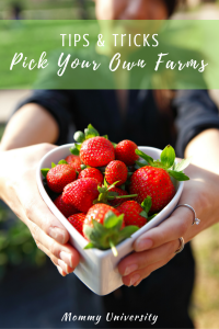 Tips to Pick Your Own Farms