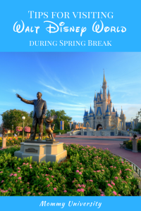 tips spring break (2)