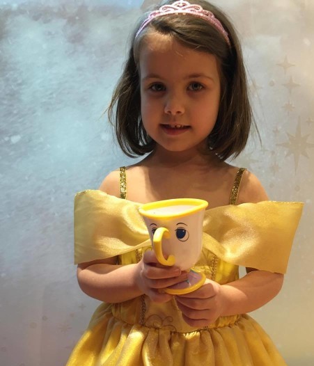 Belle Tea Party Dress