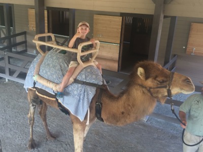 Riding a Camel at Turtle Back Zoo