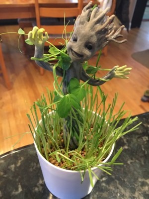 Grow and Glow Groot Completed