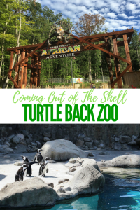 Turtle Back Zoo