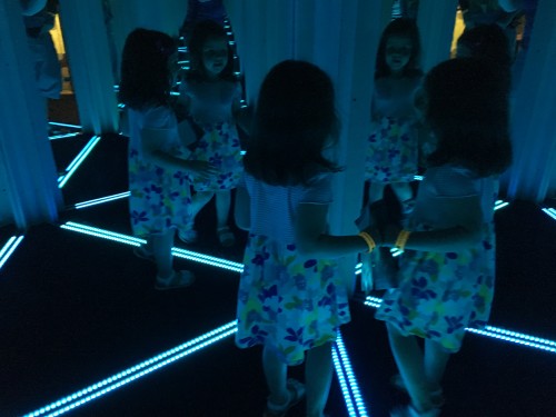 Mirror Maze