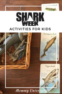 Shark Week Educational Activities