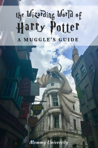 The Wizarding World of Harry Potter: A Muggle's Guide