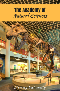The Academy of Natural Sciences review
