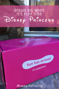 Disney Princess from Pley