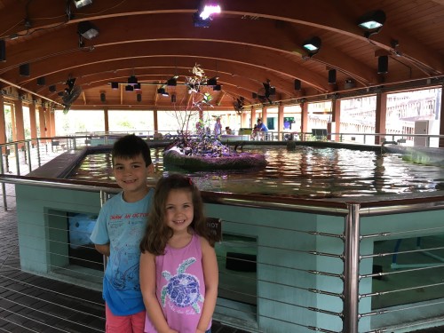 Gumbo Limbo Nature Center