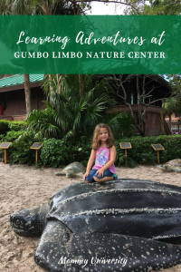 Learning Adventures at Gumbo Limbo Nature Center