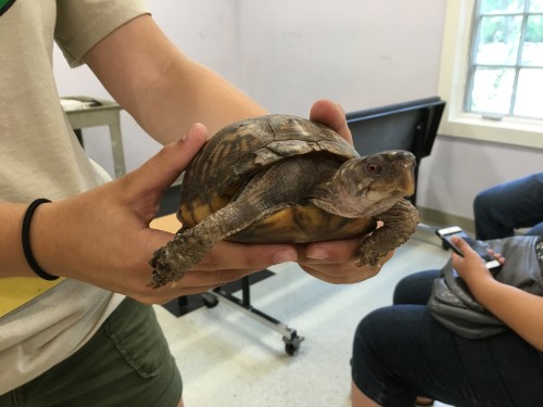 Hidden Treasures at Bergen County Zoo