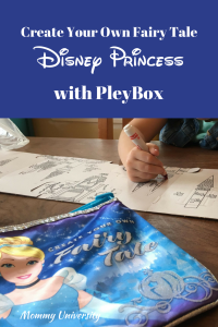 Disney Princess Pleybox Cinderella