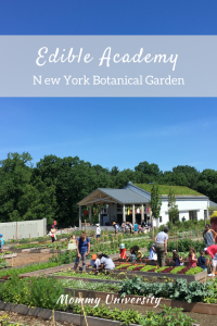 Edible Academy at New York Botanical Gardens