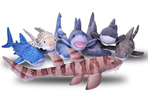 discovery shark week plush