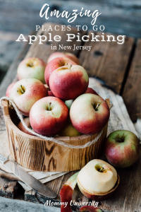 Amazing Places to Go Apple Picking in New Jersey
