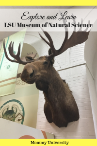 Explore and Learn at LSU Museum of Natural Science