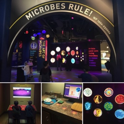 Microbes Exhibit at LSC