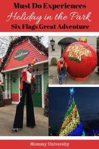 Must Do Experiences at Holiday in the Park