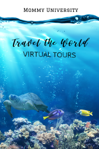 Travel the World Virtual Tours