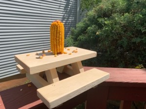 squirrel picnic table