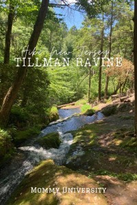 Hiking NJ: Tillman Ravine