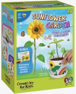 Sunflower Garden