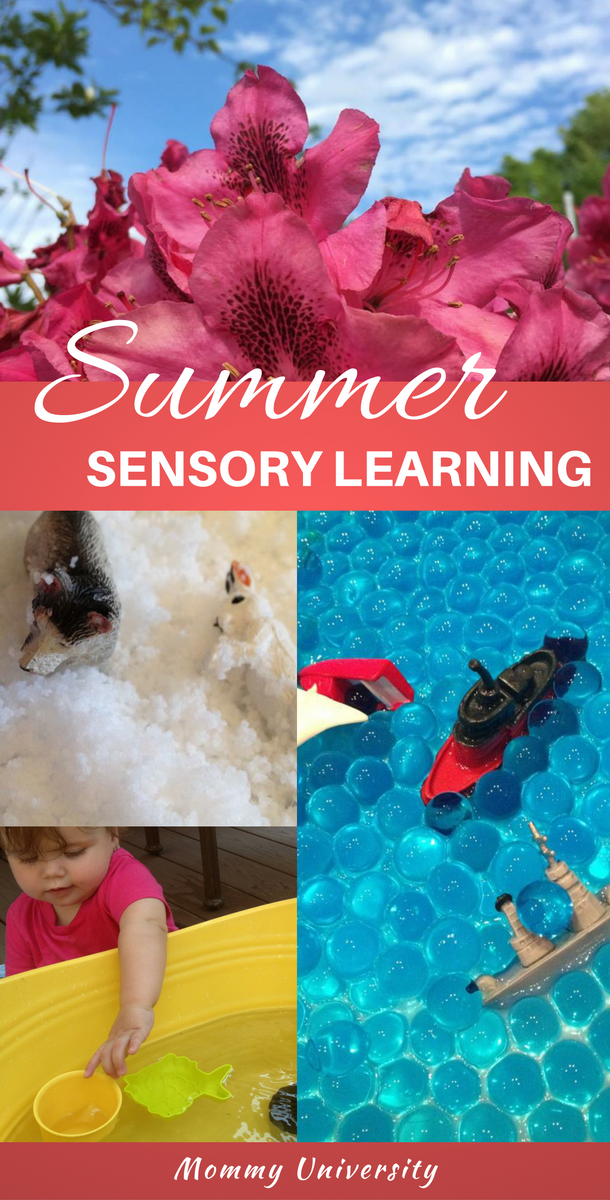 summer sensory learning