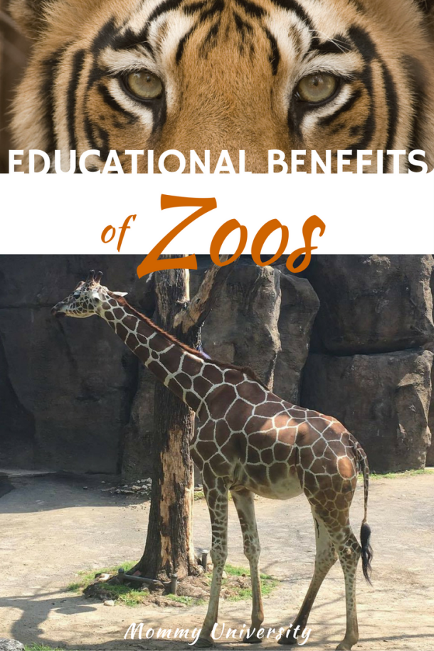 reasons why animals should be kept in zoos