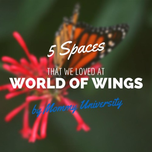 5 Spaces of WOW