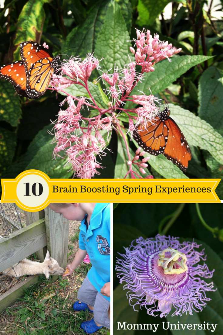 Brain Boosting Spring Experiences