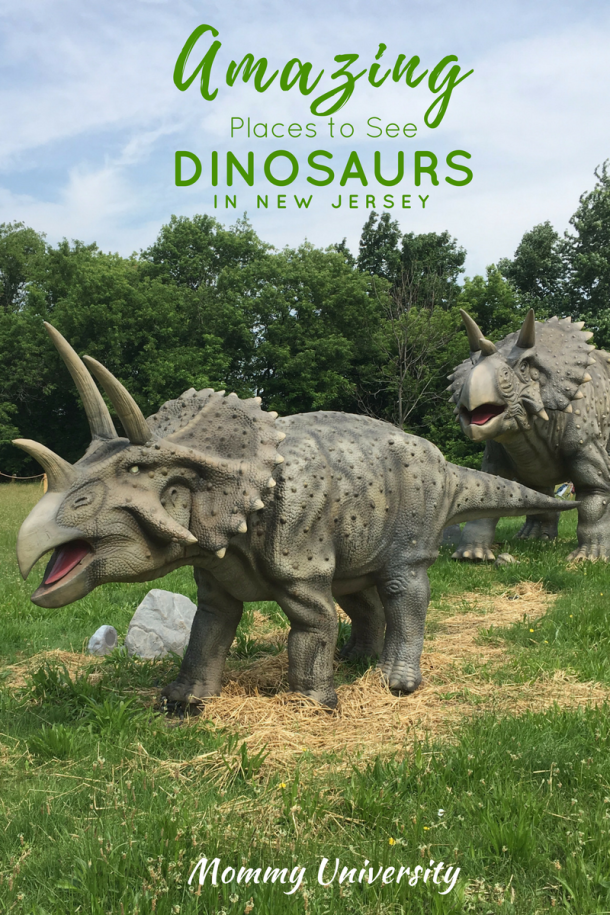 Amazing Dinosaurs Places to See Dinosaurs in New Jersey