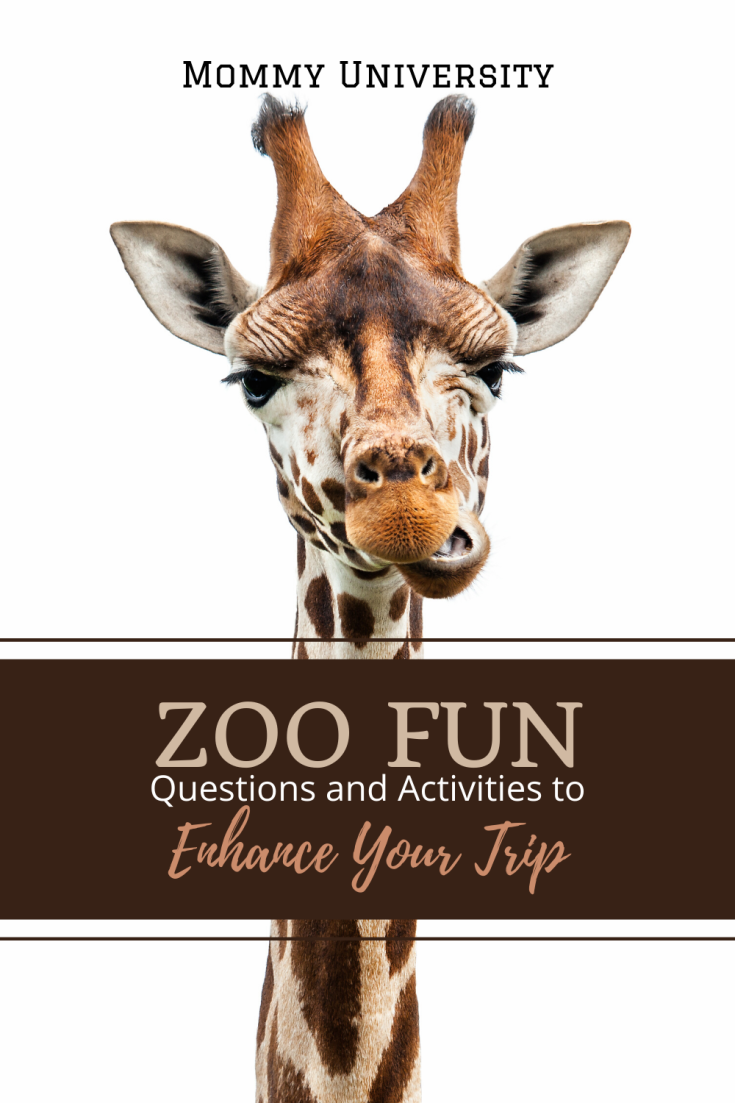 Zoo Fun: Questions and Activities to Enhance Your Trip | Mommy University