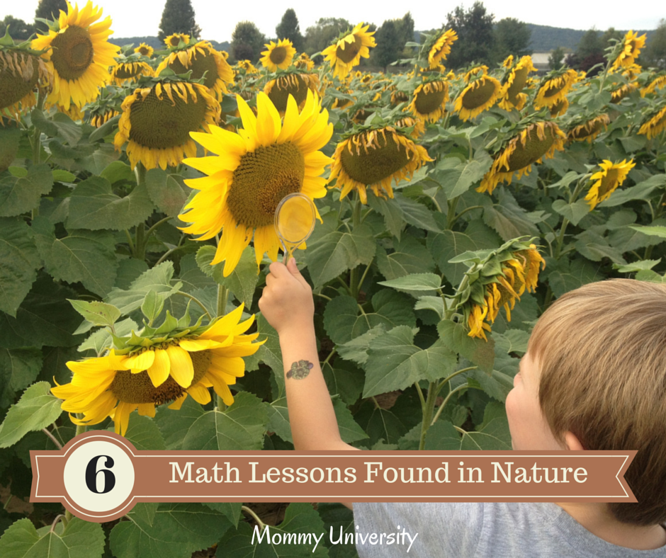 Math Lessons in Nature