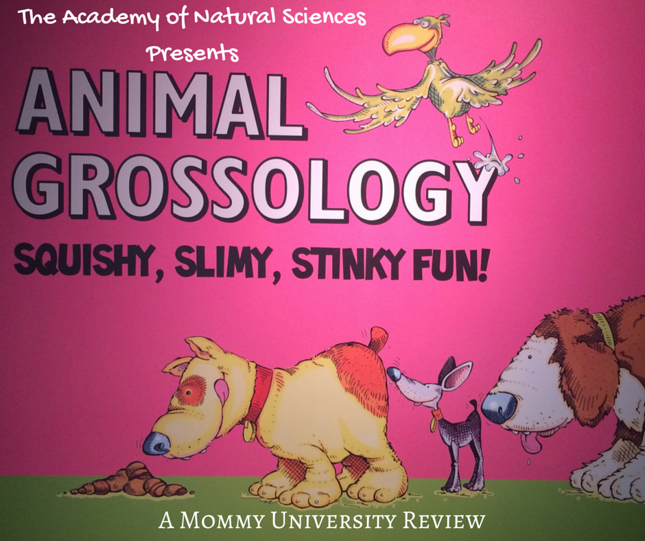 Animal Grossology