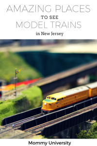Model Trains in NJ