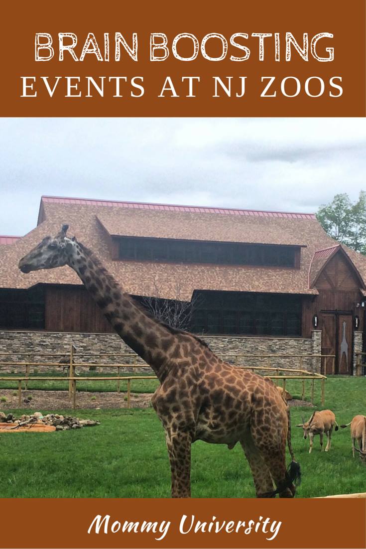 Brain Boosting Events at NJ Zoos