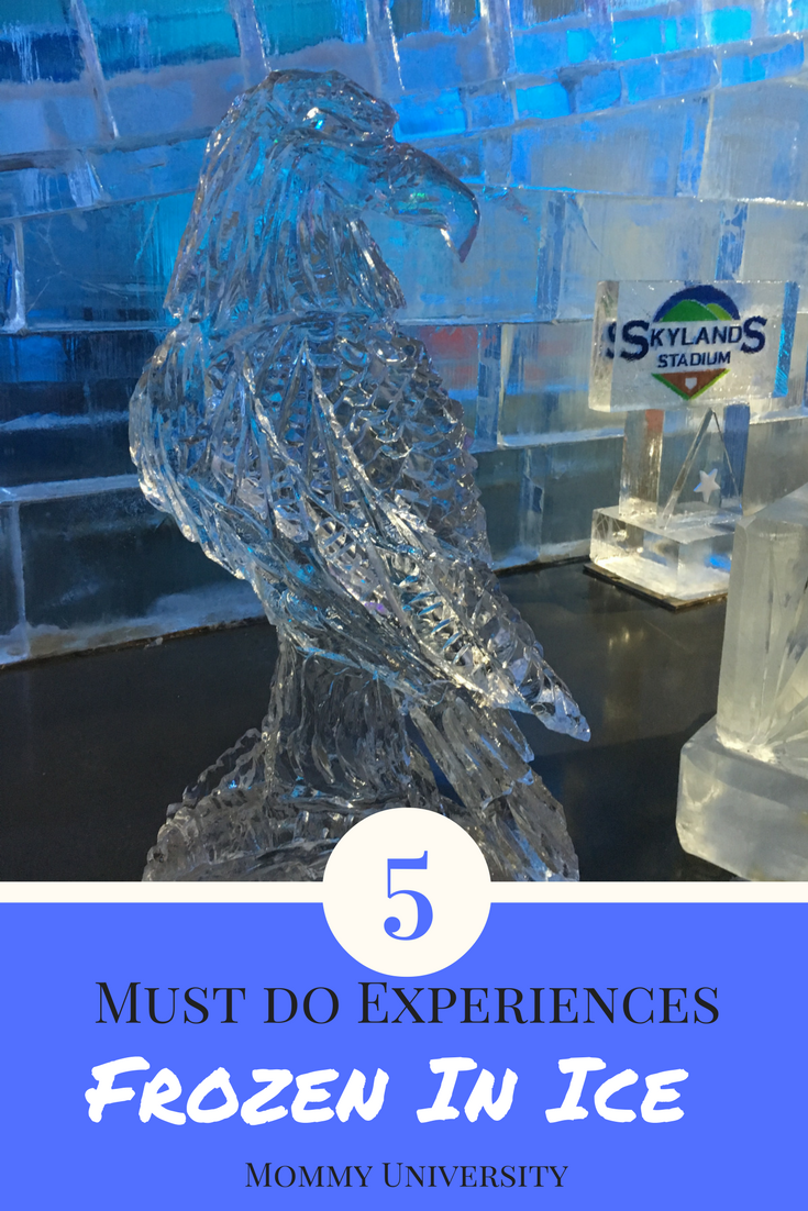 5 must do experiences at frozen in ice