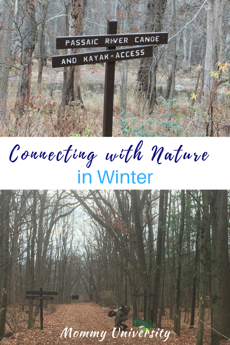 Connecting with Nature in Winter