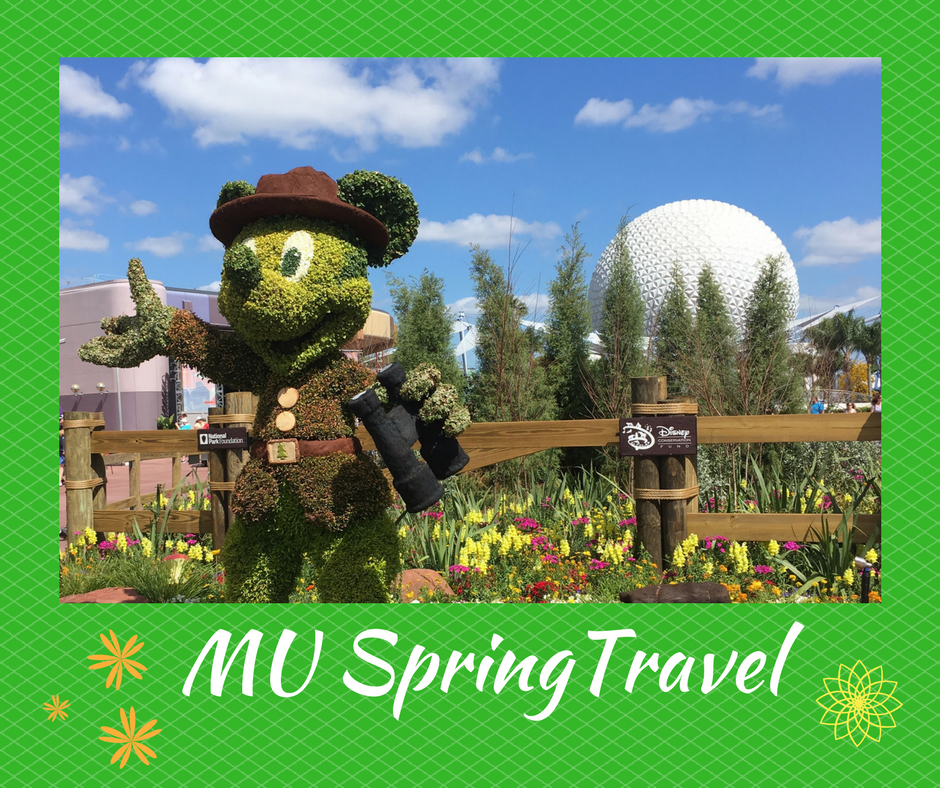 spring travel sidebar