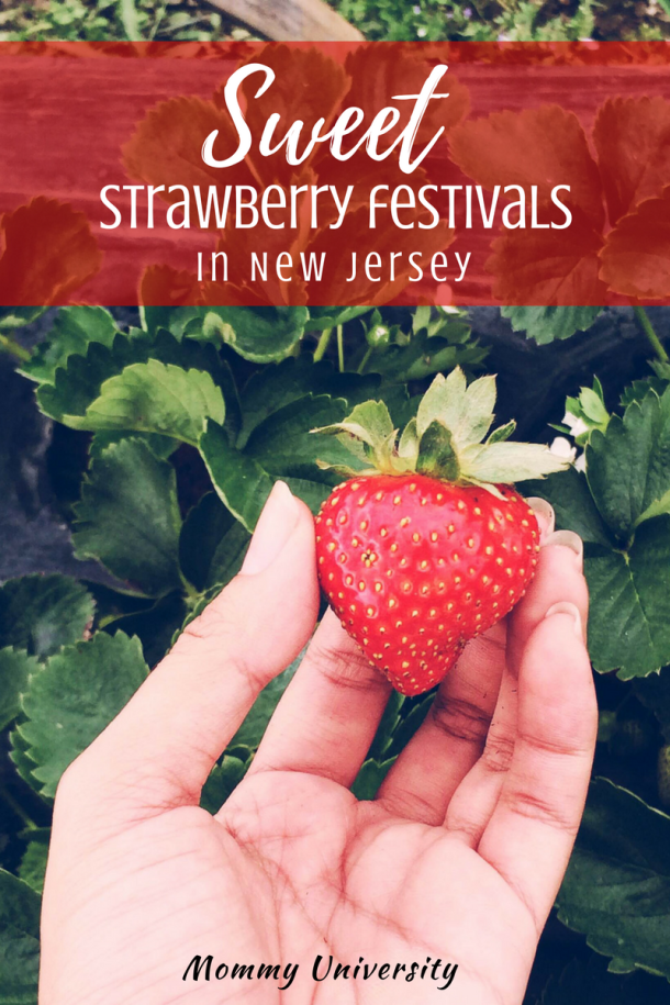 Sweet Strawberry Festivals in NJ